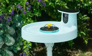 Difference Between Gopro Lit Hero and Birdfy Bird Bath Pro Explained
